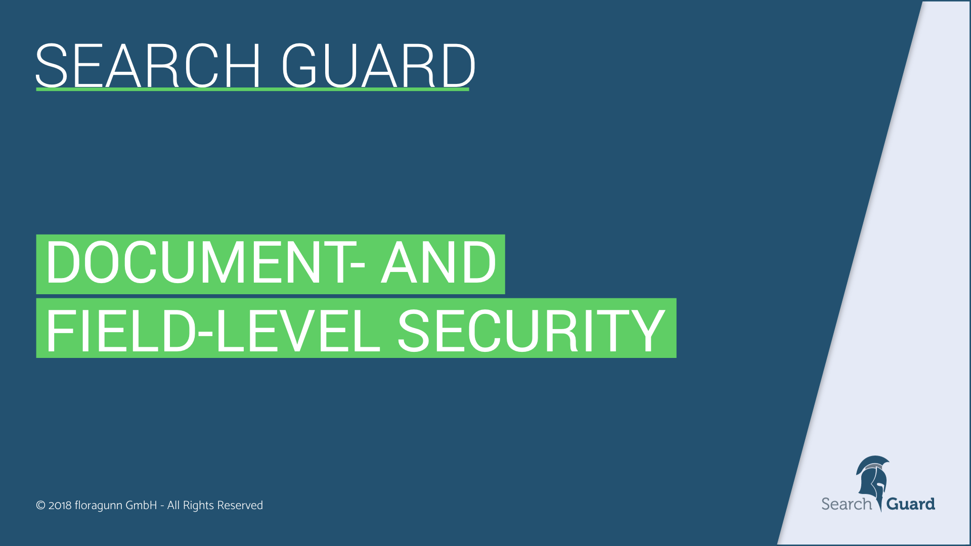 Document- and Field-Level Security